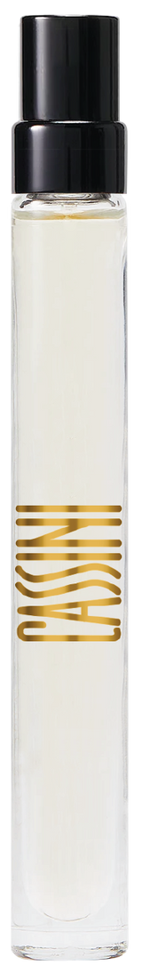 Cassini